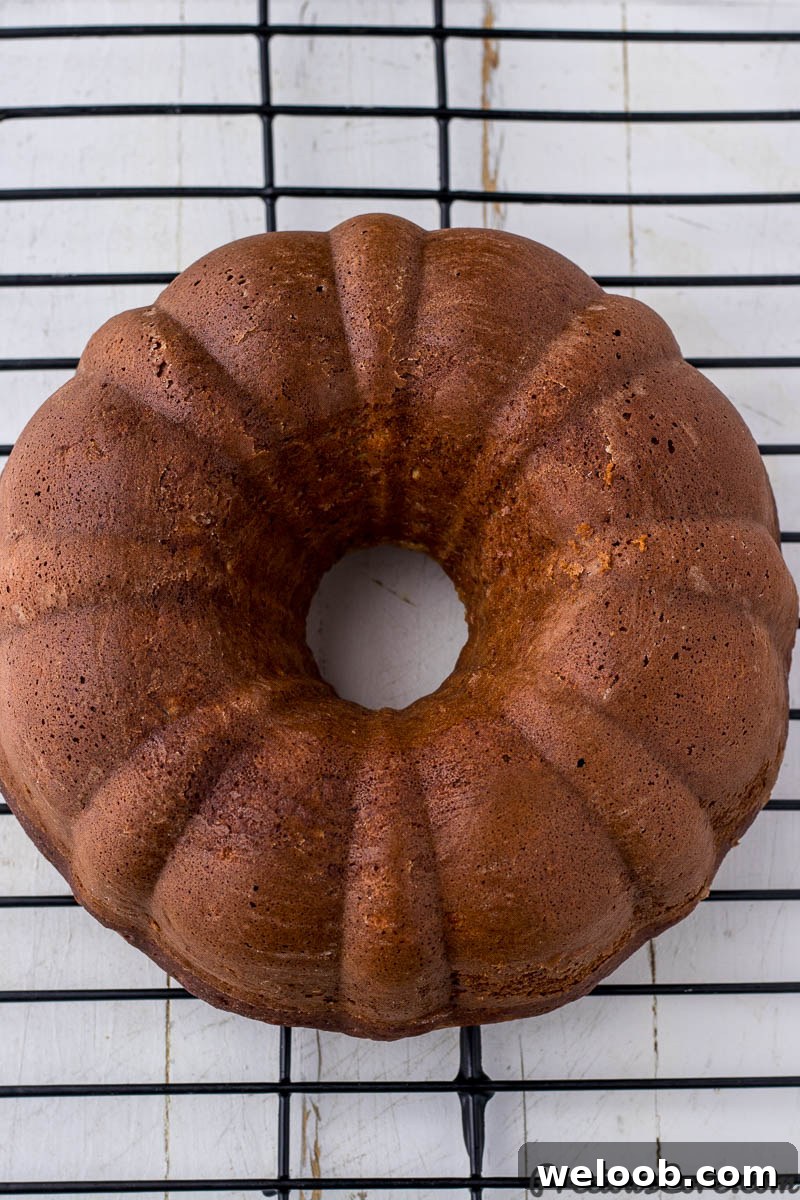 Cake in a bundt pan
