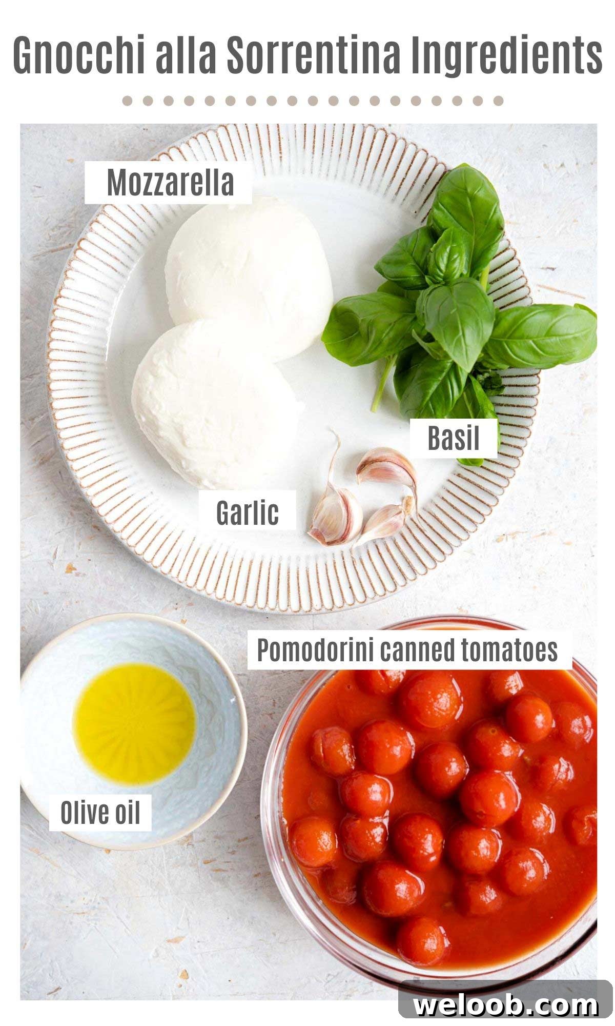 An overhead shot of all the ingredients needed to make gnocchi alla sorrentina