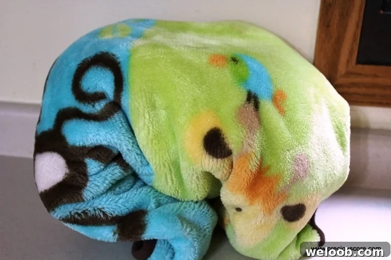 img 87 9