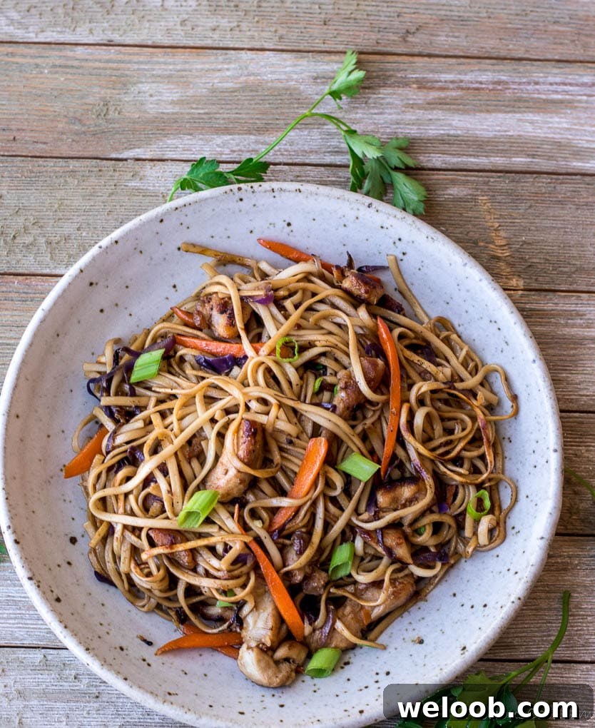 Noodle stir fry in a bowl.
