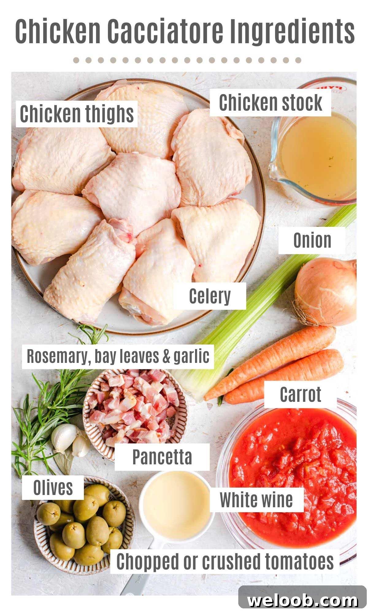 An overhead shot of all the ingredients you need to make chicken cacciatore