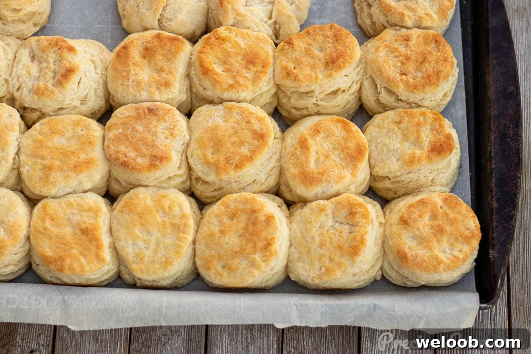 Landscape picture of buttermilk biscuits