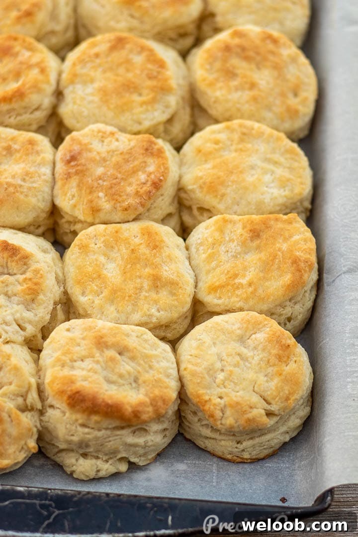 Baked buttermilk biscuits on parchment paper.