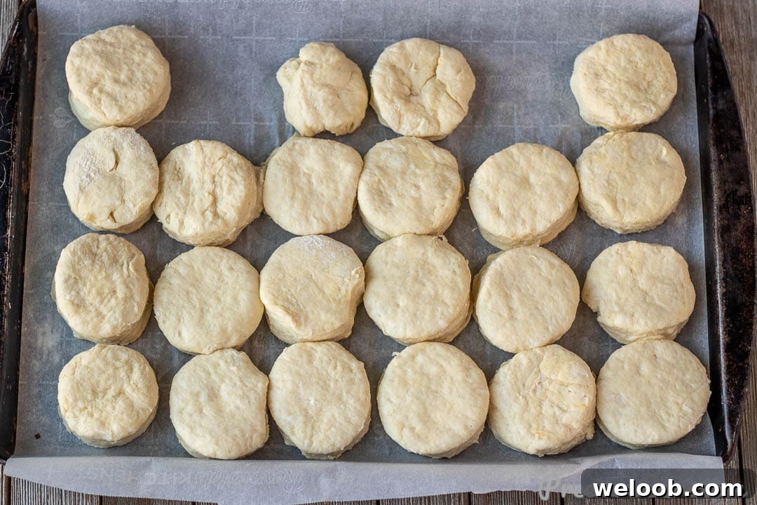 Cut out biscuits on baking sheet