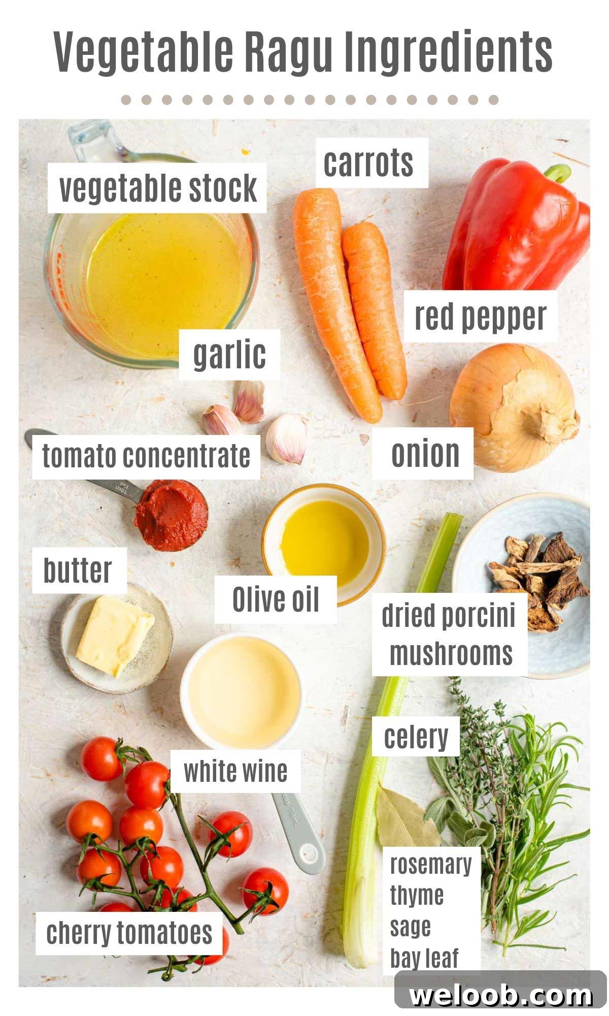An overhead shot of all the ingredients you need to make vegetable ragu
