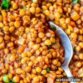 Spoon digging into a bowl of Lentil Stew.