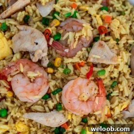 Shrimp and chicken fried rice in a white dish.