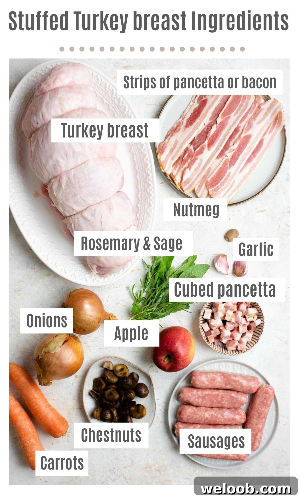 An overhead shot of all the ingredients you need to make stuffed turkey breast