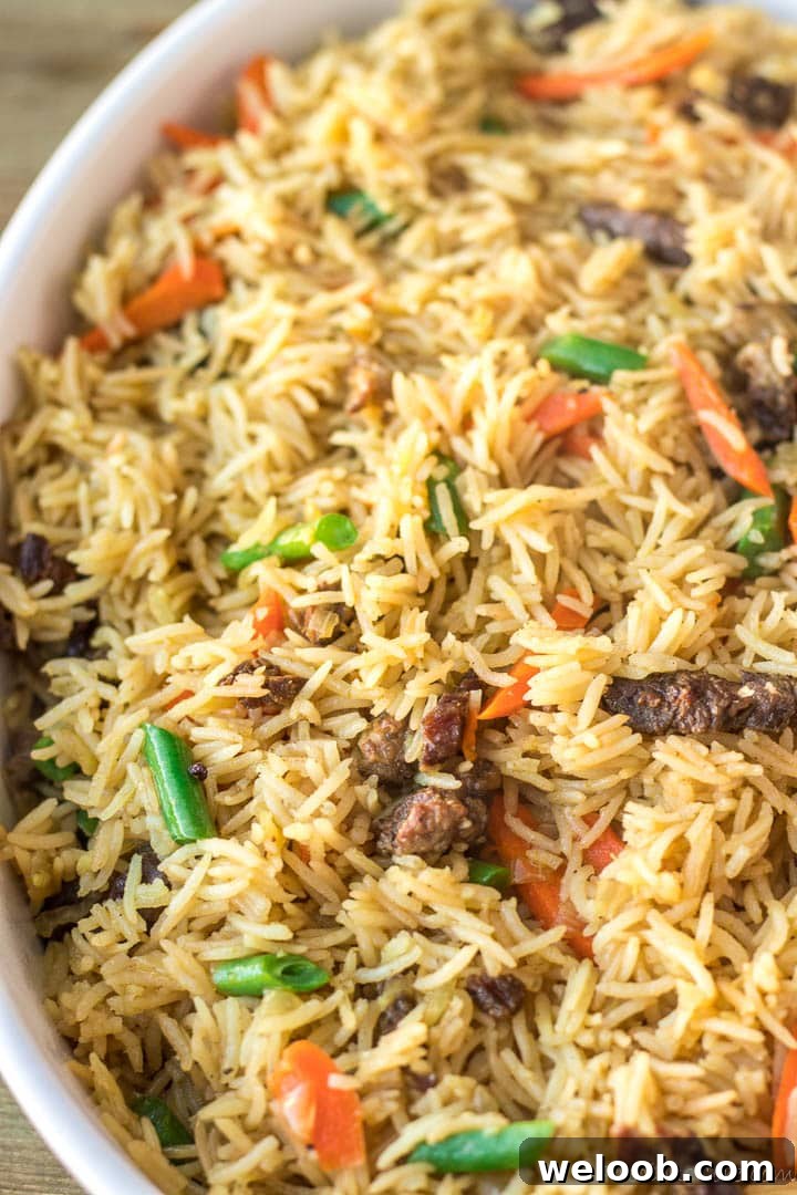 Close up shot of Beef Fried Rice.