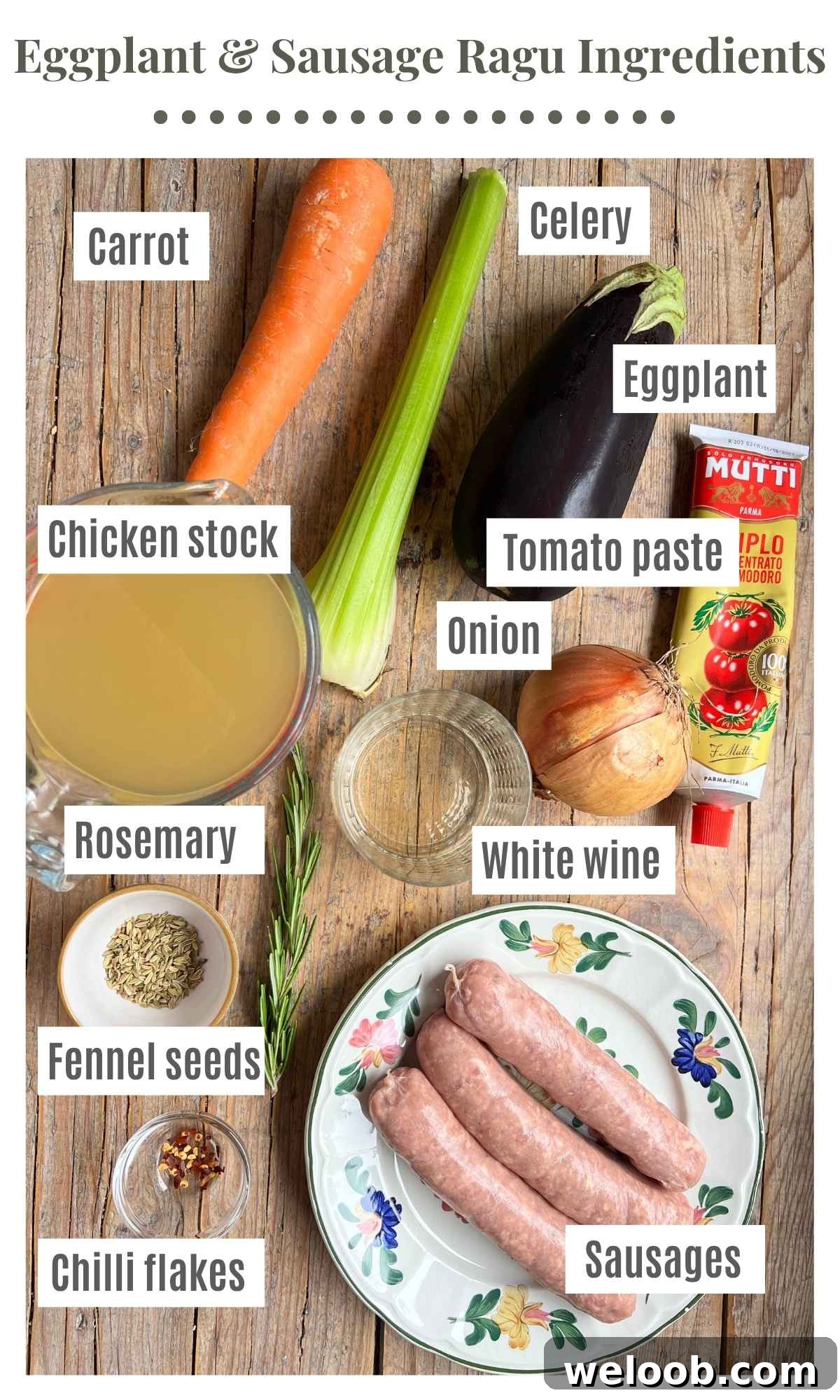 An overhead shot of all the ingredients needed to make a sausage and eggplant ragu laying on a wooden background.