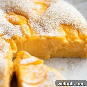 Torta Nua: Rustic Italian Cake Filled with Pastry Cream 9 A close up of an Italian sponge cake with slices removed to see the yellow pastry cream inside.