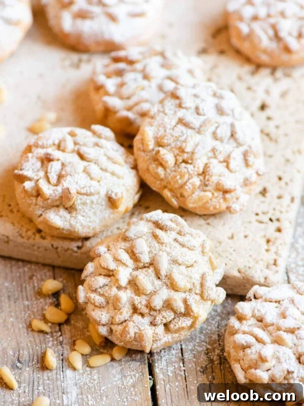 Italian Abbracci Cookies: Chocolate and Cream Pinwheels 5 Pignoli cookies on a wooden surface dusted with powdered sugar